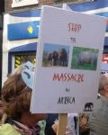 Global March for Elephants and Rhinos Liverpool